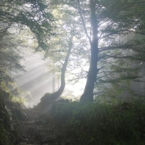 Samstag, 16.08.2025: Mit allen Sinnen auf dem Weg im Rahmen des Spirituellen Sommers