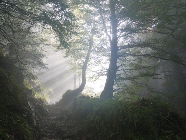 Samstag, 16.08.2025: Mit allen Sinnen auf dem Weg im Rahmen des Spirituellen Sommers